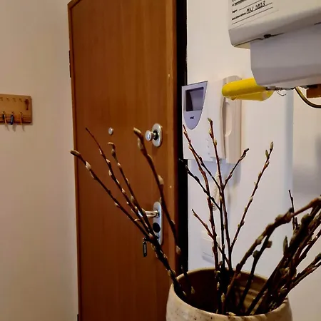 Woodstone 6 アパート *