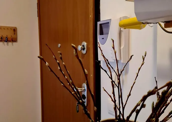 Woodstone 6 Apartmán *